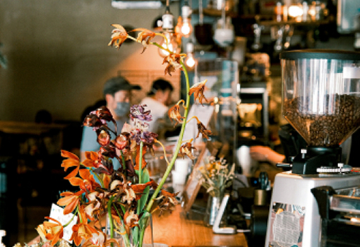 パーティプラン